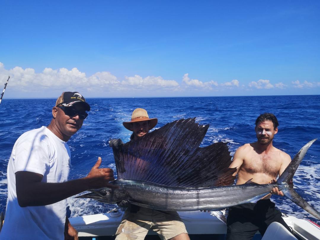 SailFish Nov 2019